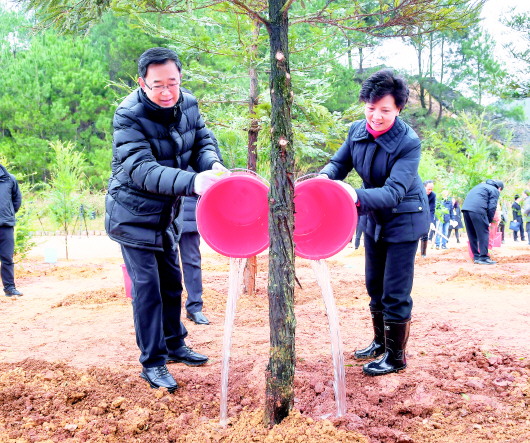 1550591414829265.jpg 01.jpg