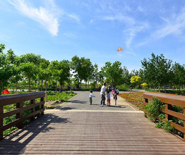 1551278256977036.jpg 01.jpg