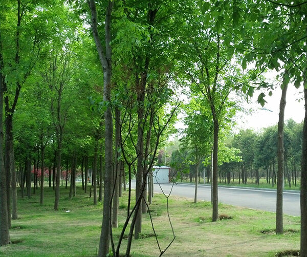 1551278446134947.jpg 01.jpg