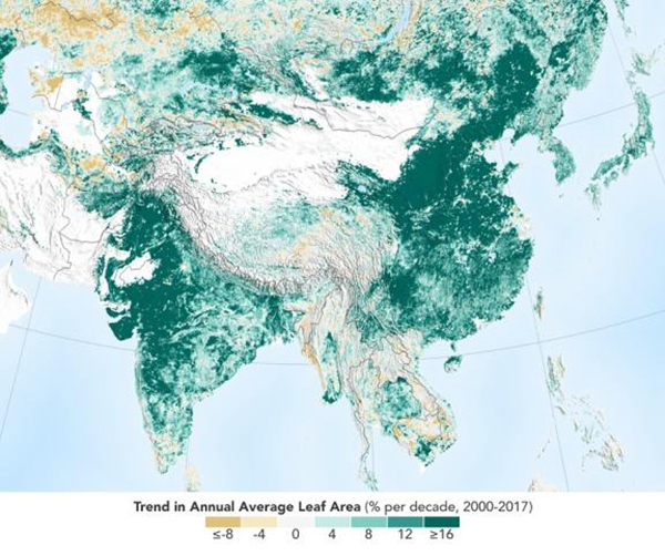 1551278787839119.jpg 01.jpg