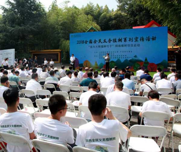 1551799734785028.jpg 01.jpg