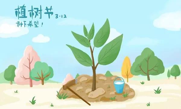 1551799852801682.jpg 01.jpg