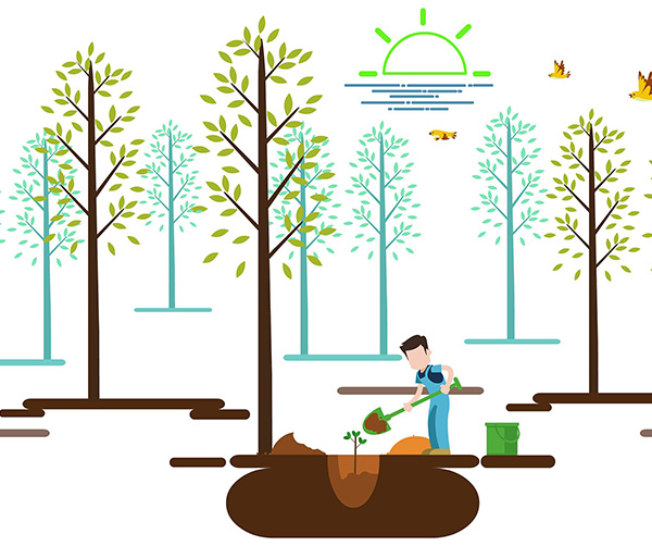 1551800047918255.jpg 01.jpg