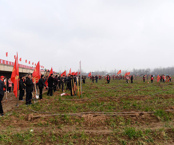 1551800208435051.jpg 01.jpg