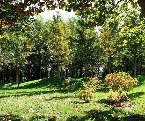 1551800294195364.jpg 01.jpg