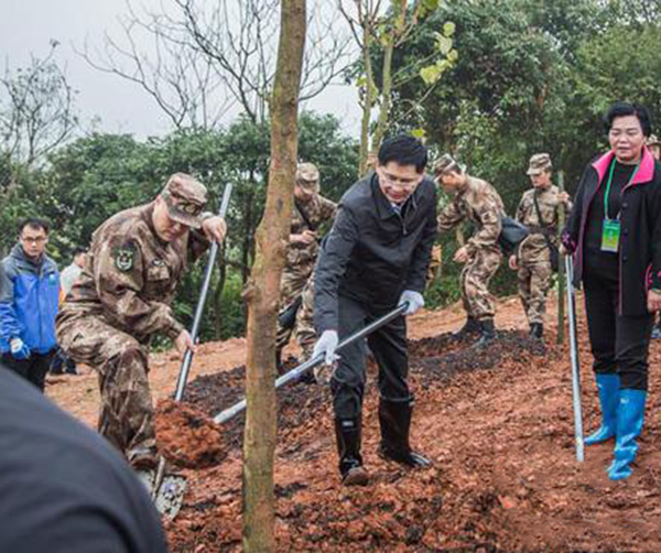 1551800430127038.jpg 01.jpg