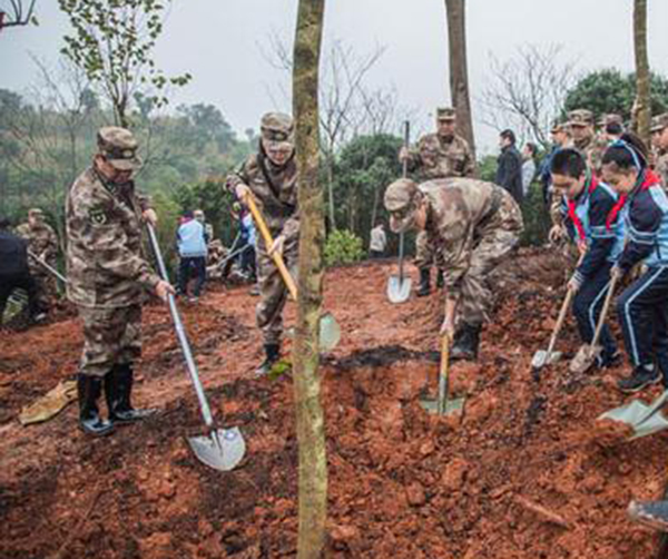 1551800467942869.jpg 03.jpg