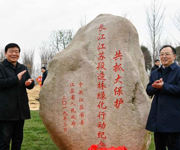 1551800547448305.jpeg 01.jpeg