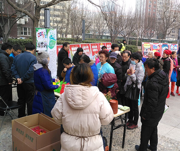 1552457501125308.jpg 02-6.jpg