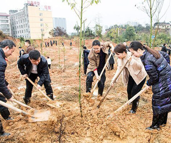 1552458218283020.jpg 03-1.jpg