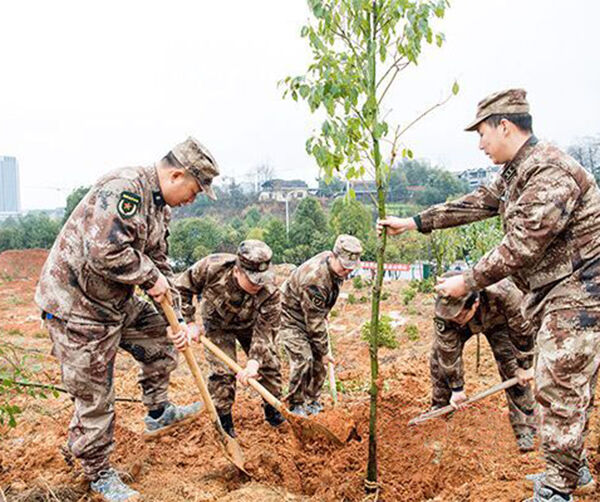 1552458229120661.jpg 03-2.jpg