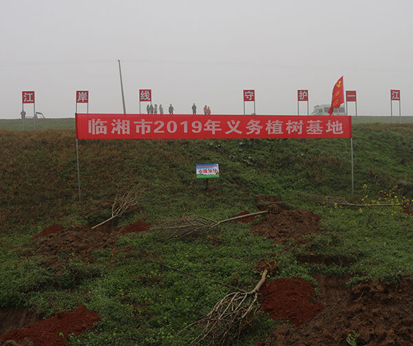 1552458310120945.jpg 04-1.jpg