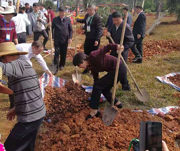 1552459879162703.jpg 04.jpg