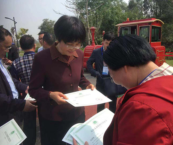 1552459884935769.jpg 05.jpg