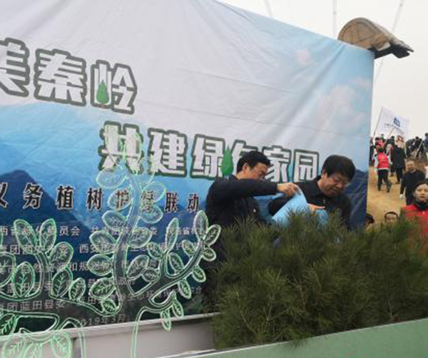 1553182607256813.jpg 01-1.jpg