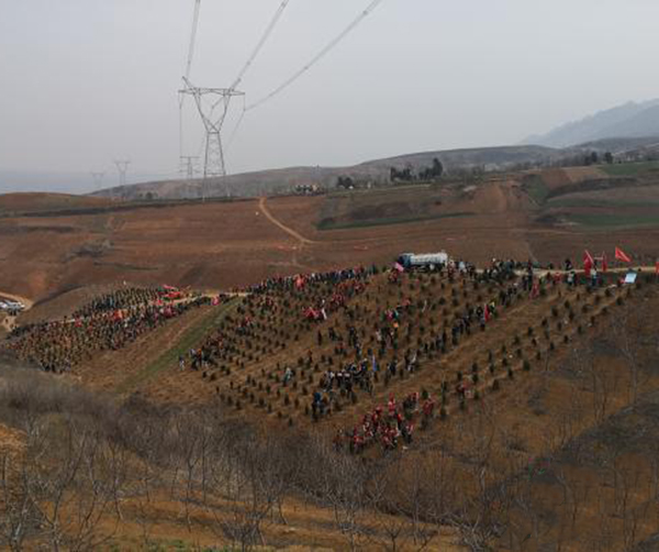 1553182620470681.jpg 01-2.jpg