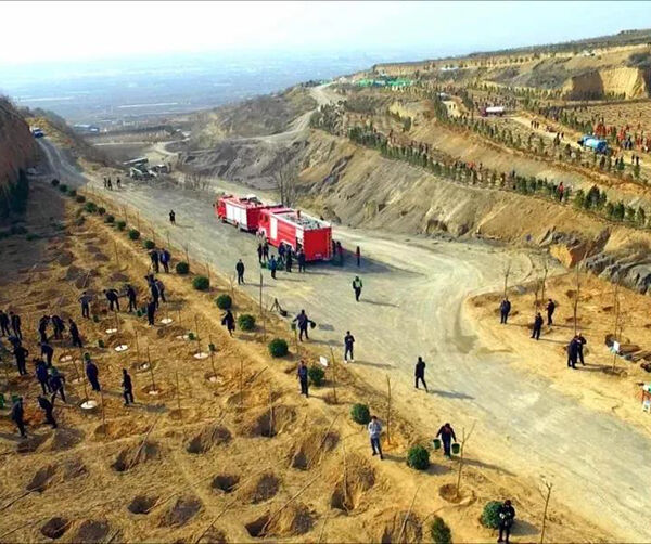 1553182693136875.jpg 02-01.jpg