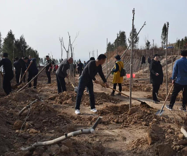 1553182700116349.jpg 02-2.jpg