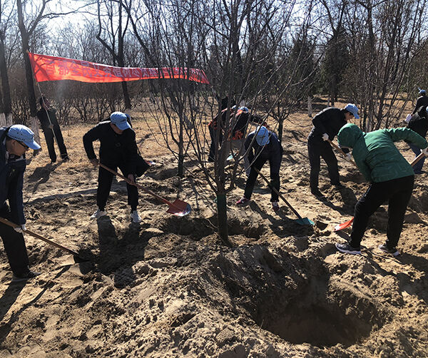 1553183345332076.jpg 001.jpg