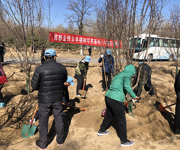 1553183353544352.jpg 002.jpg