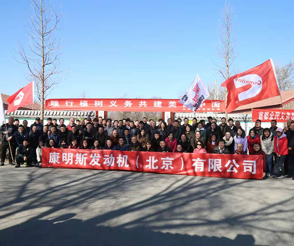 1553183477136251.jpg 01.jpg