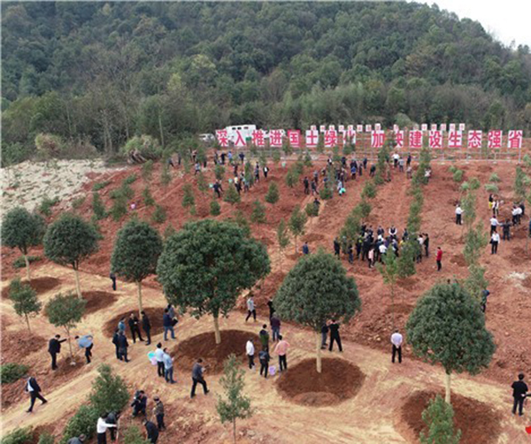 1553183904815839.jpg 01.jpg