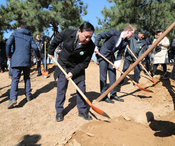 1553184120119430.jpg 01.jpg