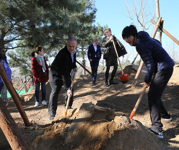 1553184159128708.jpg 001.jpg