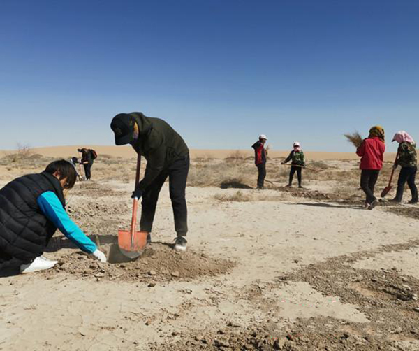 1553520036531012.jpeg 03.jpeg