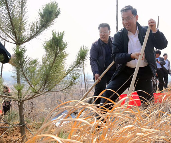 1553520277945150.jpg 01.jpg