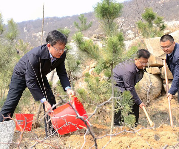 1553520285796217.jpg 02.jpg