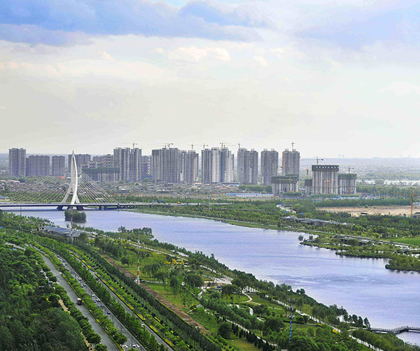 1553520495170190.jpg 01.jpg