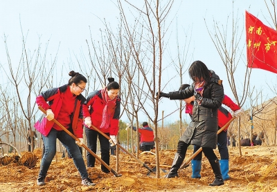 1554133330654083.jpg 01.jpg