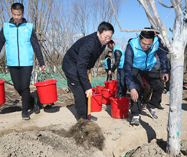 1554133970976175.jpg 03.jpg