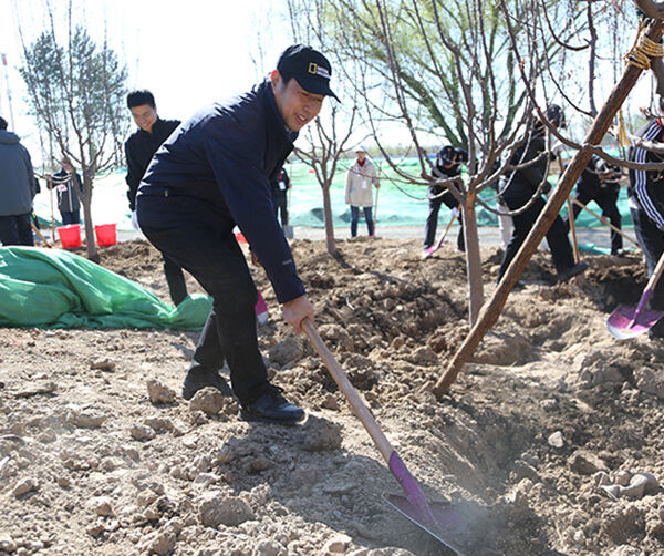 1554134027132004.jpg 05.jpg