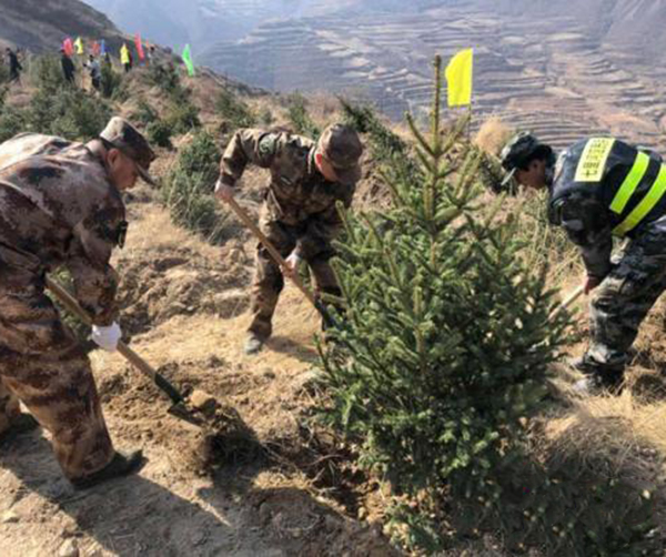 1554732385284784.jpeg 02.jpeg