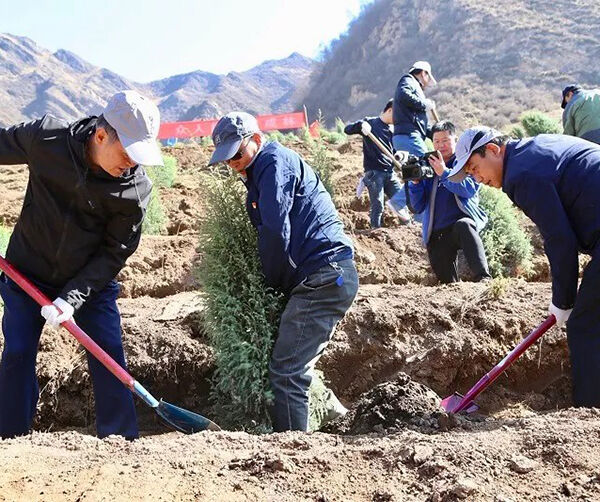 1555156860635364.jpg 01.jpg