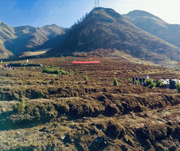 1555156875458546.jpg 02.jpg