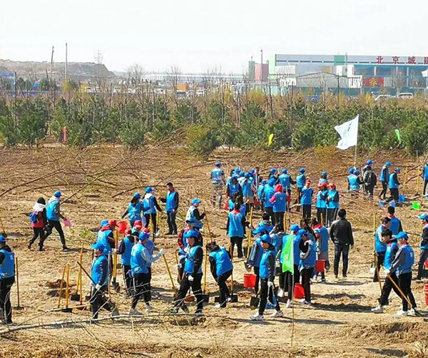 1555157999479675.jpg 01.jpg