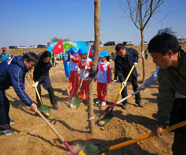 1555158009775863.jpg 02.jpg