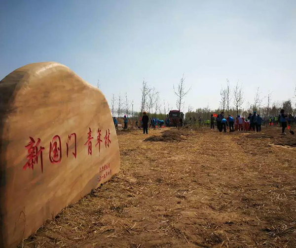 1555158021531829.jpg 03.jpg