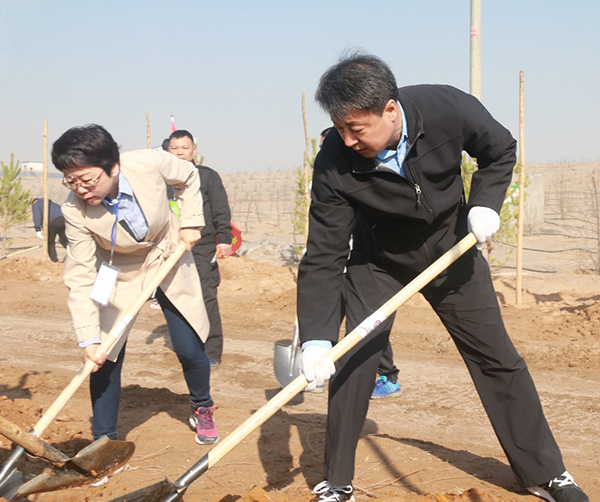 1555158775809815.jpg 02.jpg