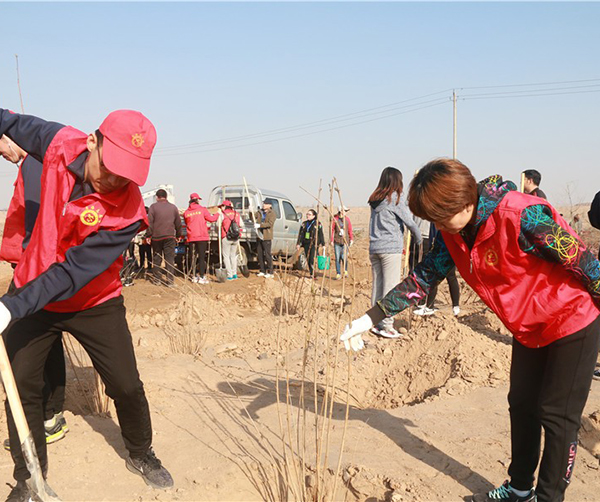 1555158786103758.jpg 03.jpg