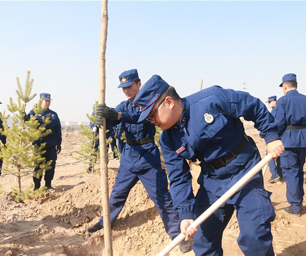 1555158806535444.jpg 05.jpg