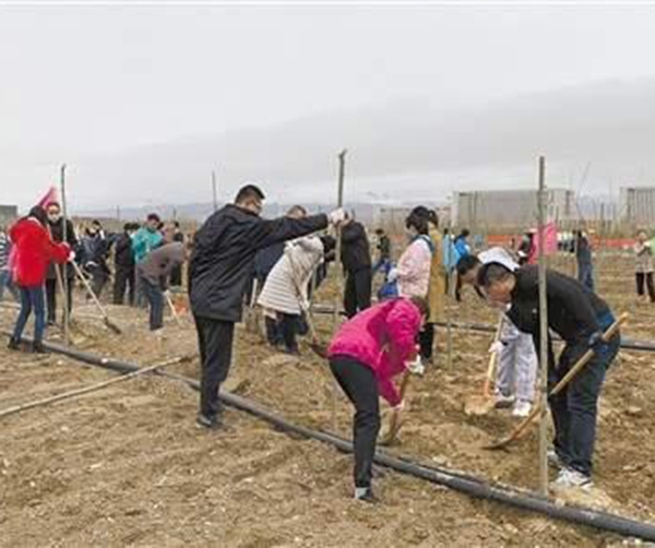 1555946428542200.jpeg 01.jpeg