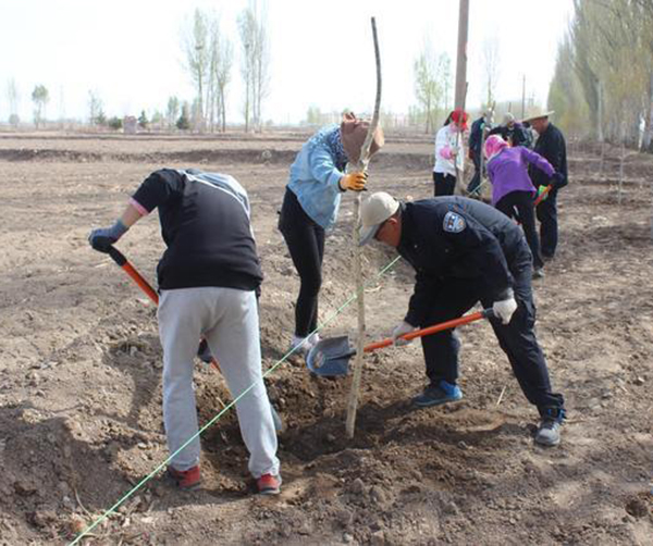 1555946602844025.jpeg 02.jpeg