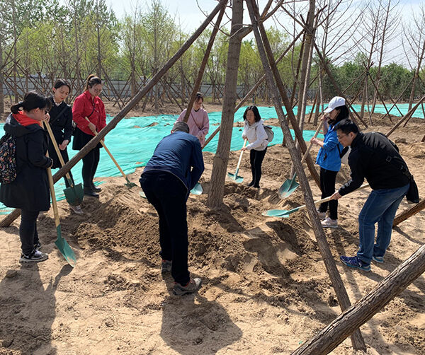 1555946816363919.jpg 1-2.jpg