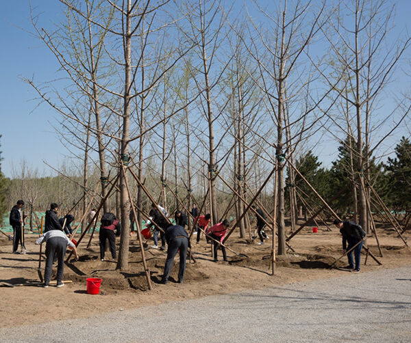 1555946845284569.jpg 2-2.jpg