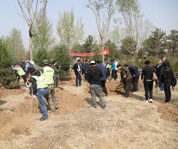 1555948857696727.jpeg WechatIMG12.jpeg