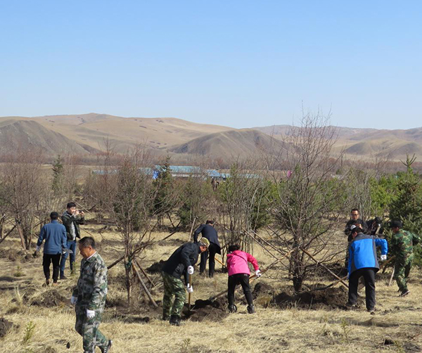 1557499124123324.jpg 02.jpg